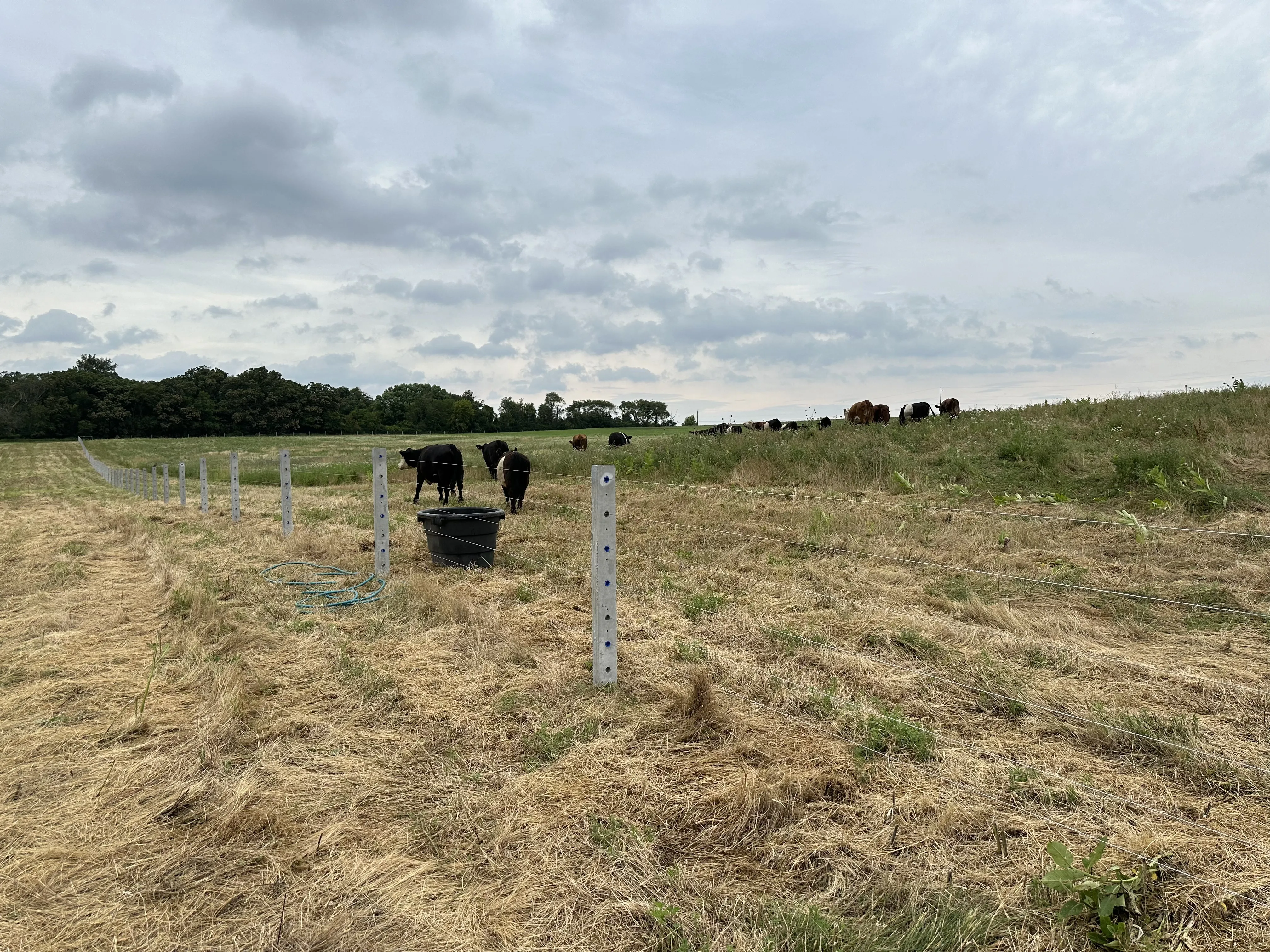 GOAT Fence Installation